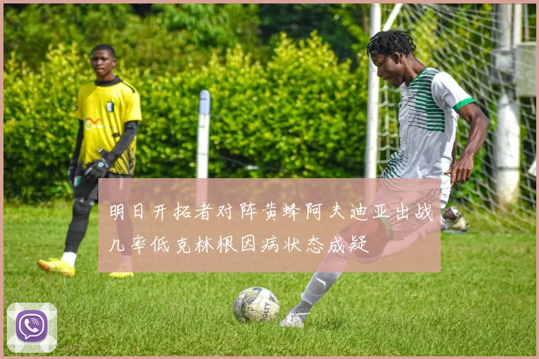 明日开拓者对阵黄蜂阿夫迪亚出战几率低克林根因病状态成疑